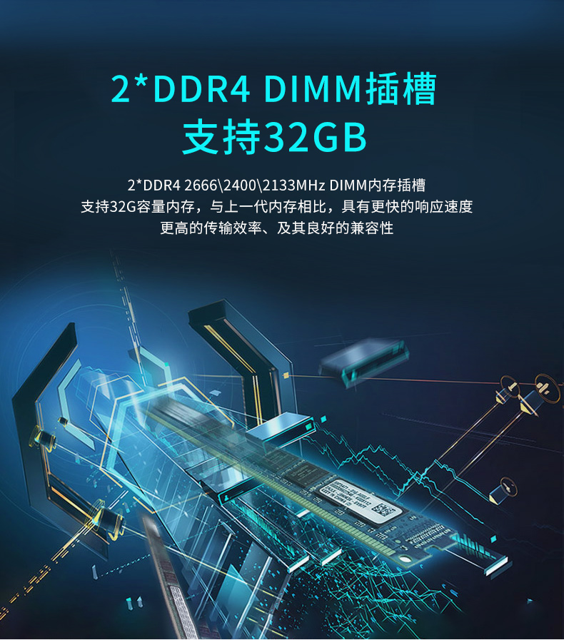 DT-14504-IH310MB_06.jpg