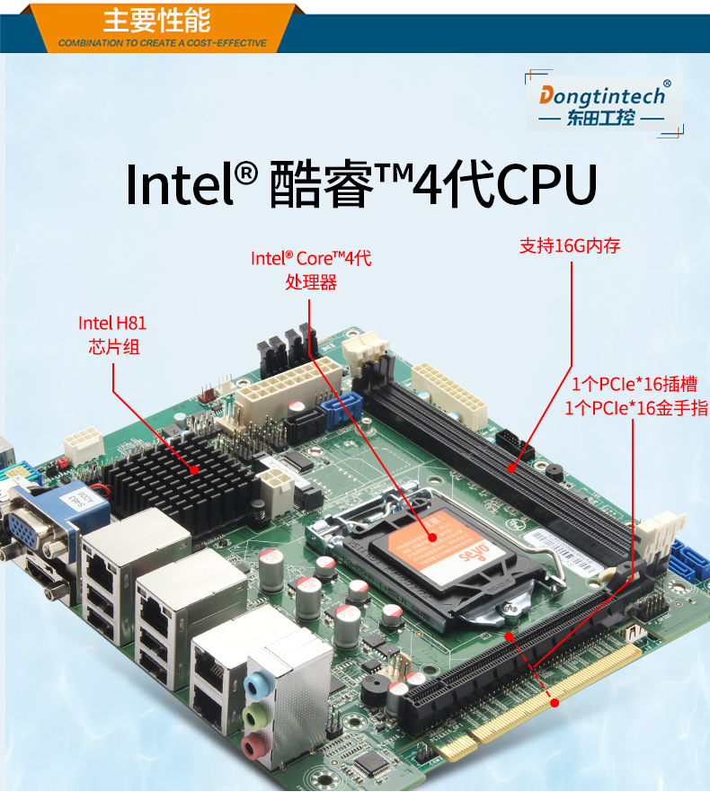 DT-14502-BH81MC_05.jpg