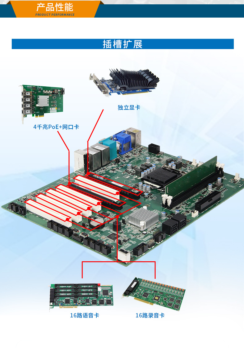 DT-24606-WH110MA_05.jpg