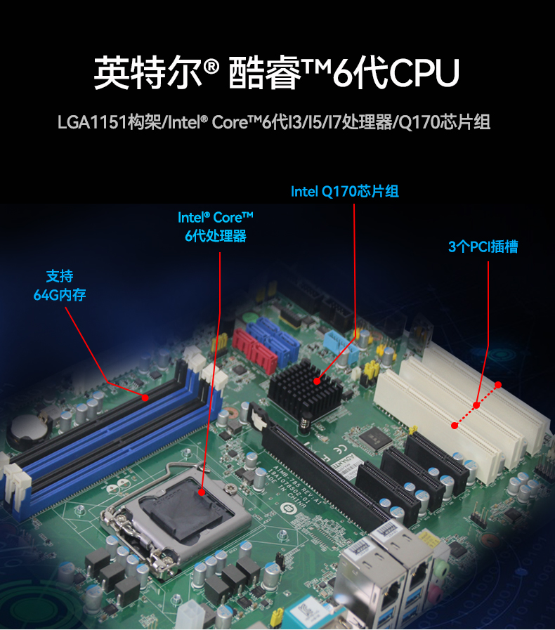 DT-610L-A785G2_03.jpg