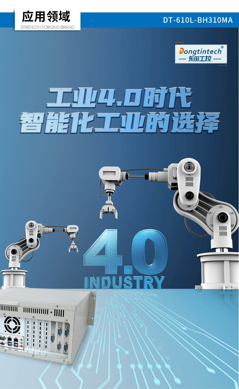 DT-610L-BH310MA_18.jpg
