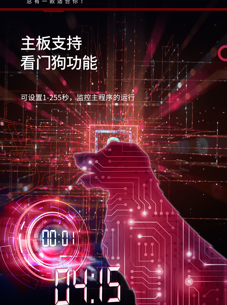 DT-610P-JH61MAI改1_18.jpg
