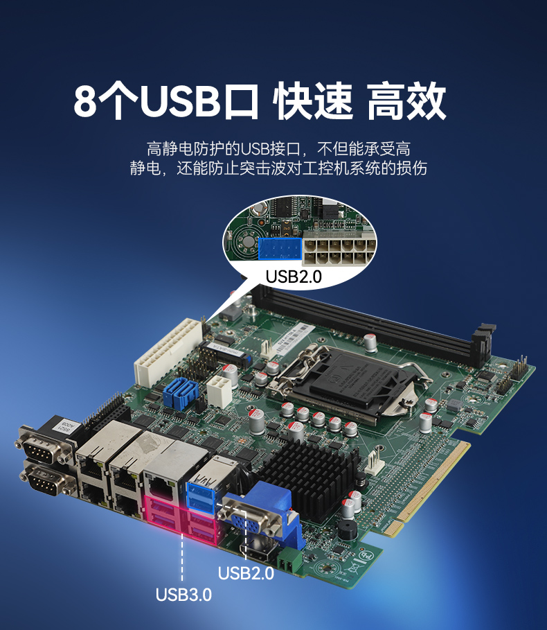 DT-5308-BH110MC_11.jpg