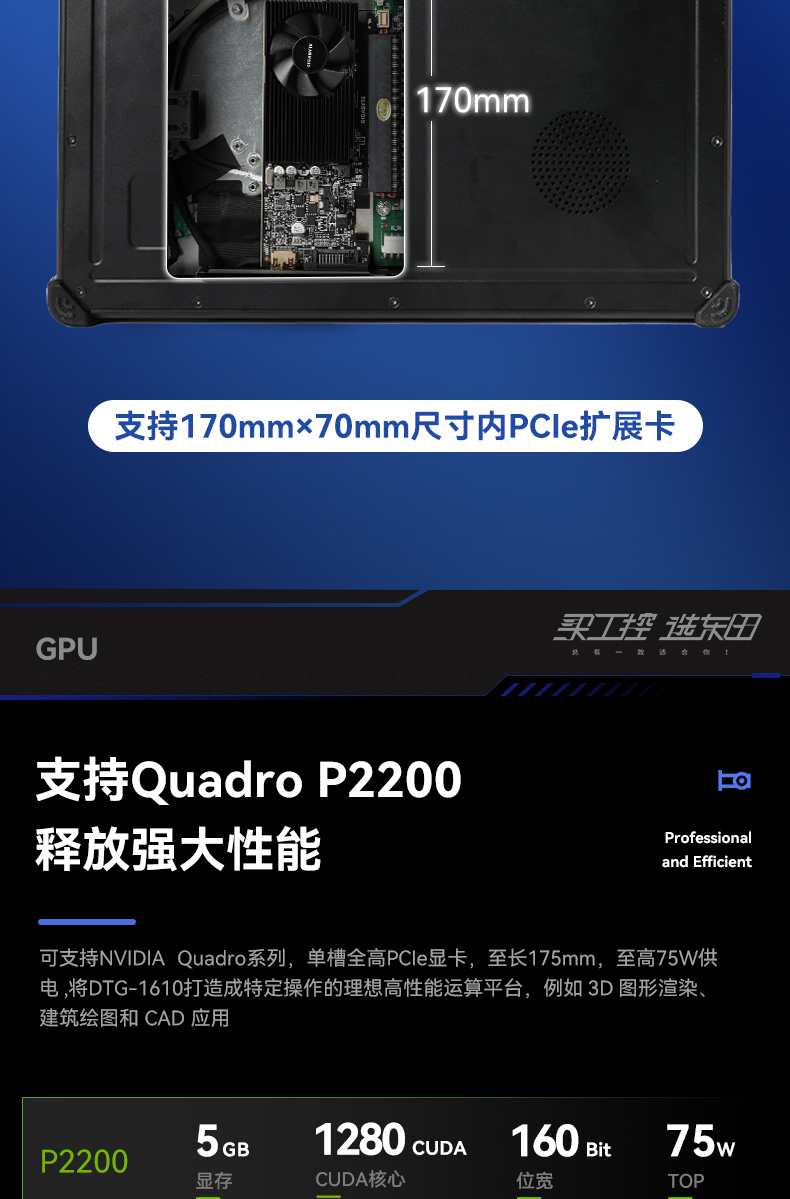 DTG-1610_06.jpg
