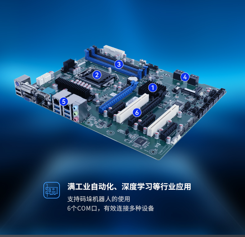 DT-5309-BQ470MA_05.jpg