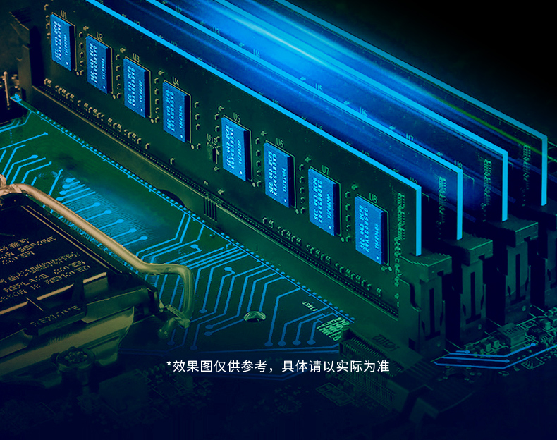 DT-5309-IZ690MA_07.jpg