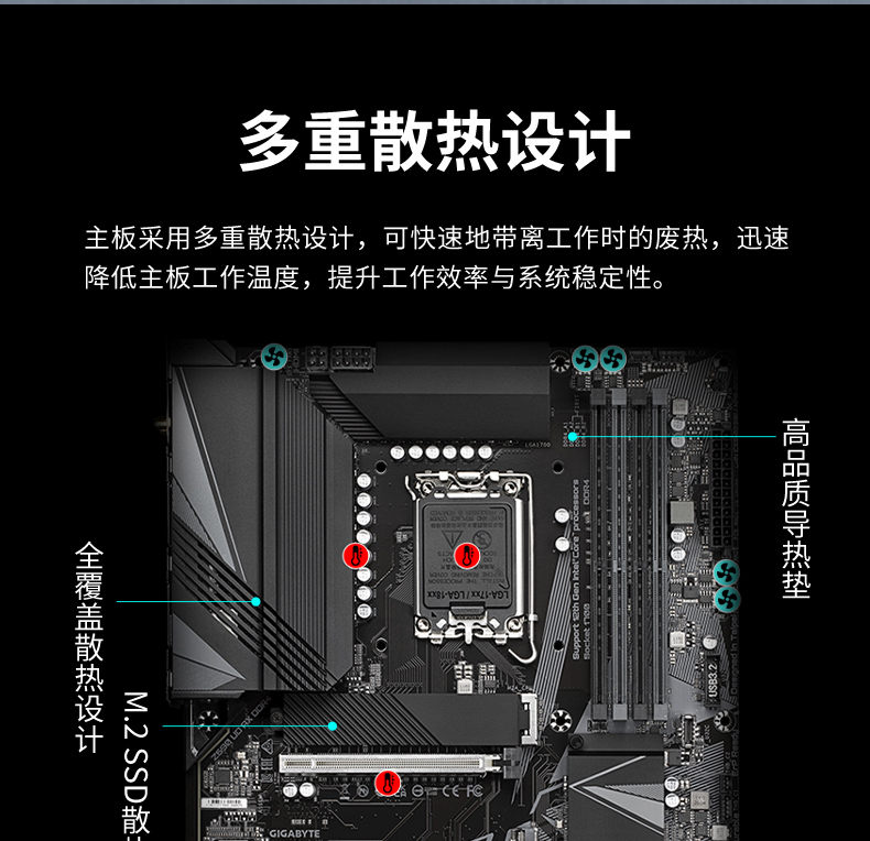 DT-5309-IZ690MA_13.jpg