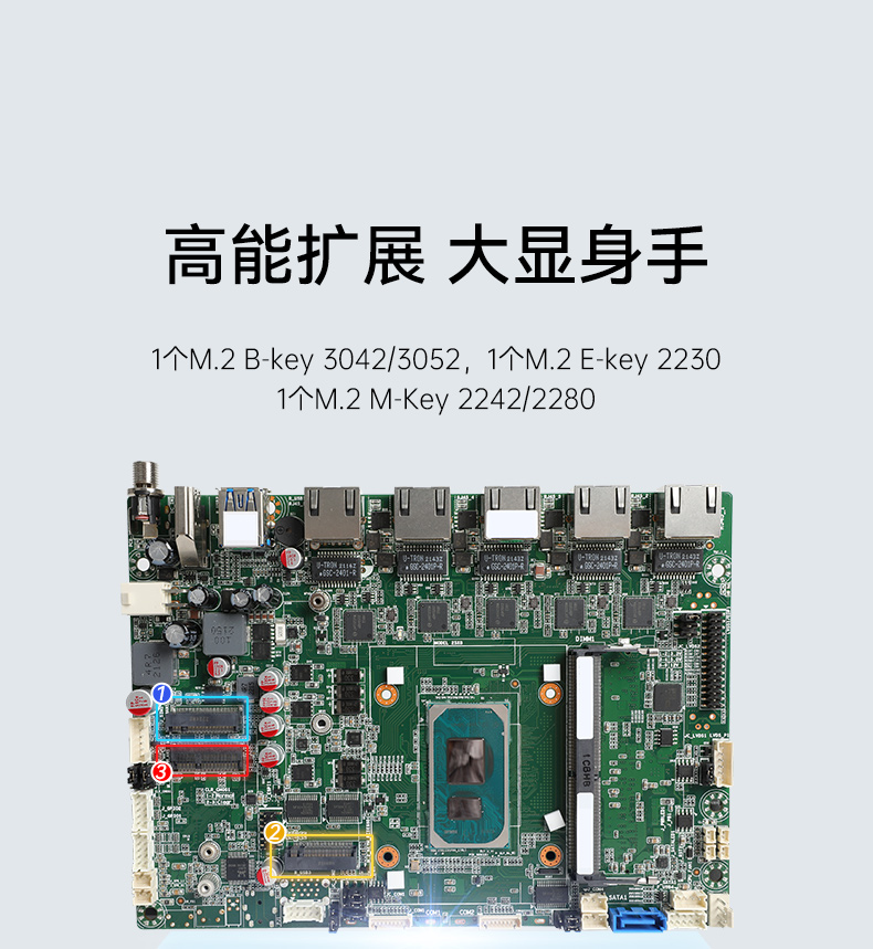 DTB-3073-1135_08.jpg