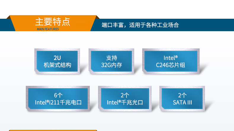 DT-22362-C246_03.jpg