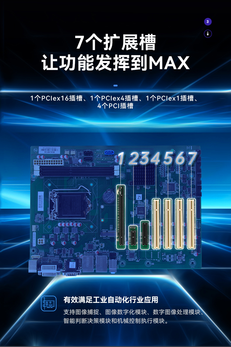 DT-5307-BH81MA_06.jpg